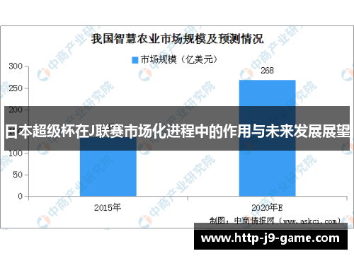 日本超级杯在J联赛市场化进程中的作用与未来发展展望