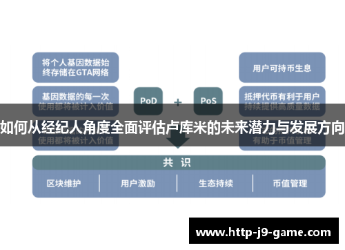 如何从经纪人角度全面评估卢库米的未来潜力与发展方向