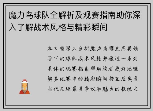 魔力鸟球队全解析及观赛指南助你深入了解战术风格与精彩瞬间