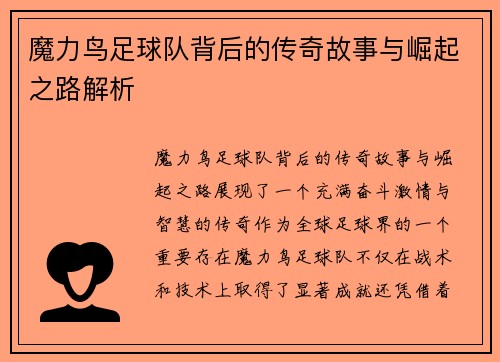 魔力鸟足球队背后的传奇故事与崛起之路解析 魔力鸟足球队背后的传奇故事与崛起之路解析